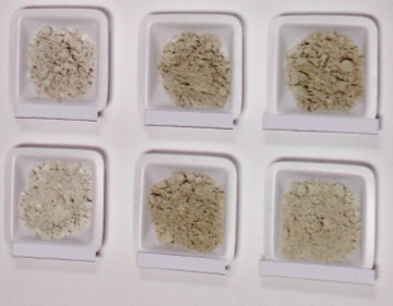 即溶風茹茶展示產品 即溶風茹茶展示產品