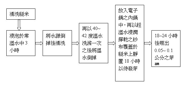 發芽米的製作流程