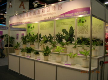 花卉品種保護及新品種展示區之一