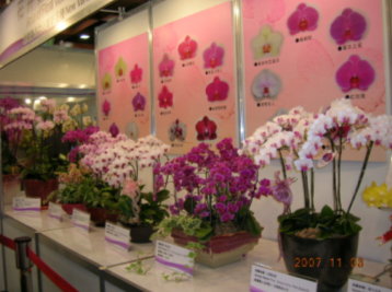 花卉品種保護及新品種展示區之二