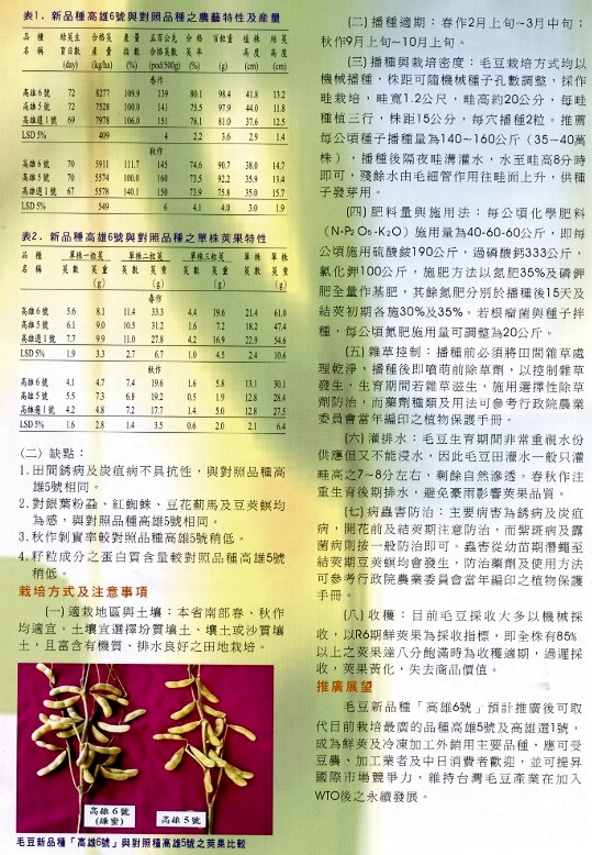 040-4.jpg
