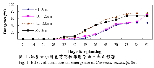 表1為不同球莖大小對各月份薑荷花切花產量及總產量之影響