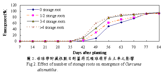 表3為球莖帶不同貯藏根數目對各月份切花產量的影響