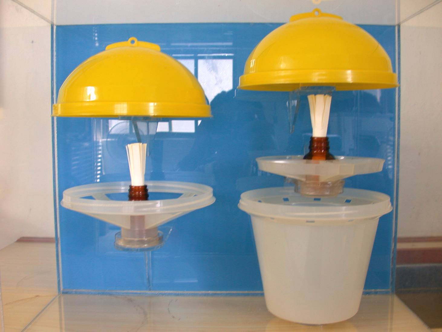 Long lasting fly trap