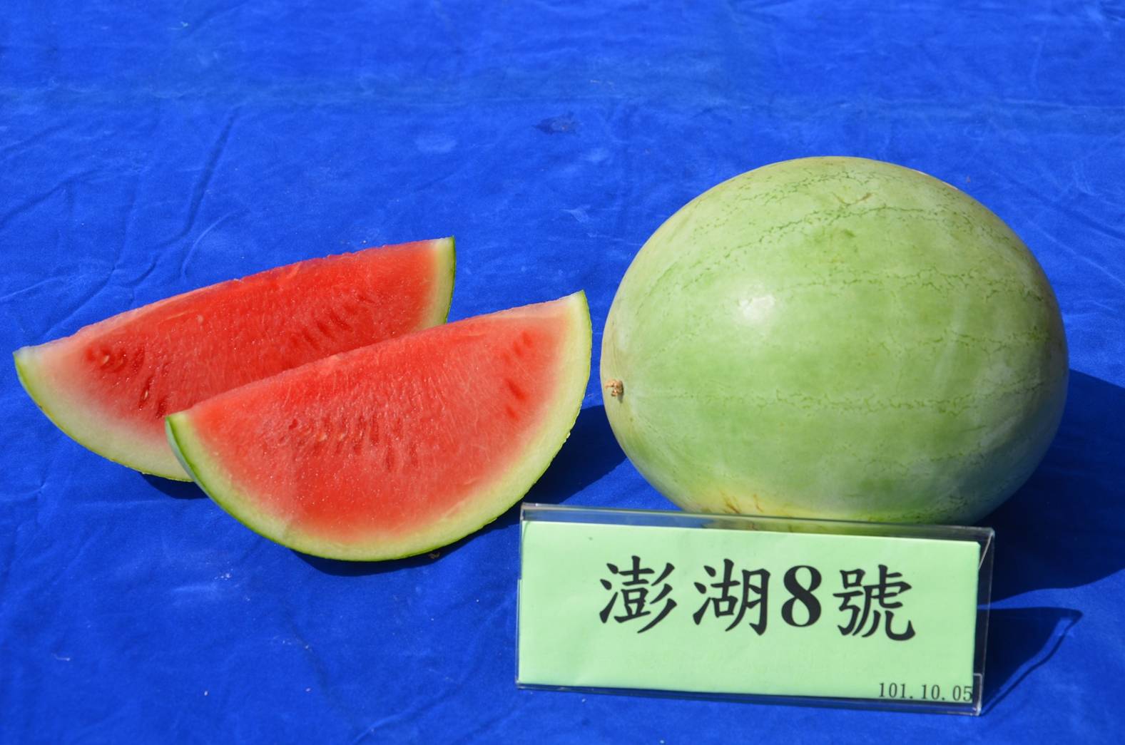 Watermelon Penghu 8