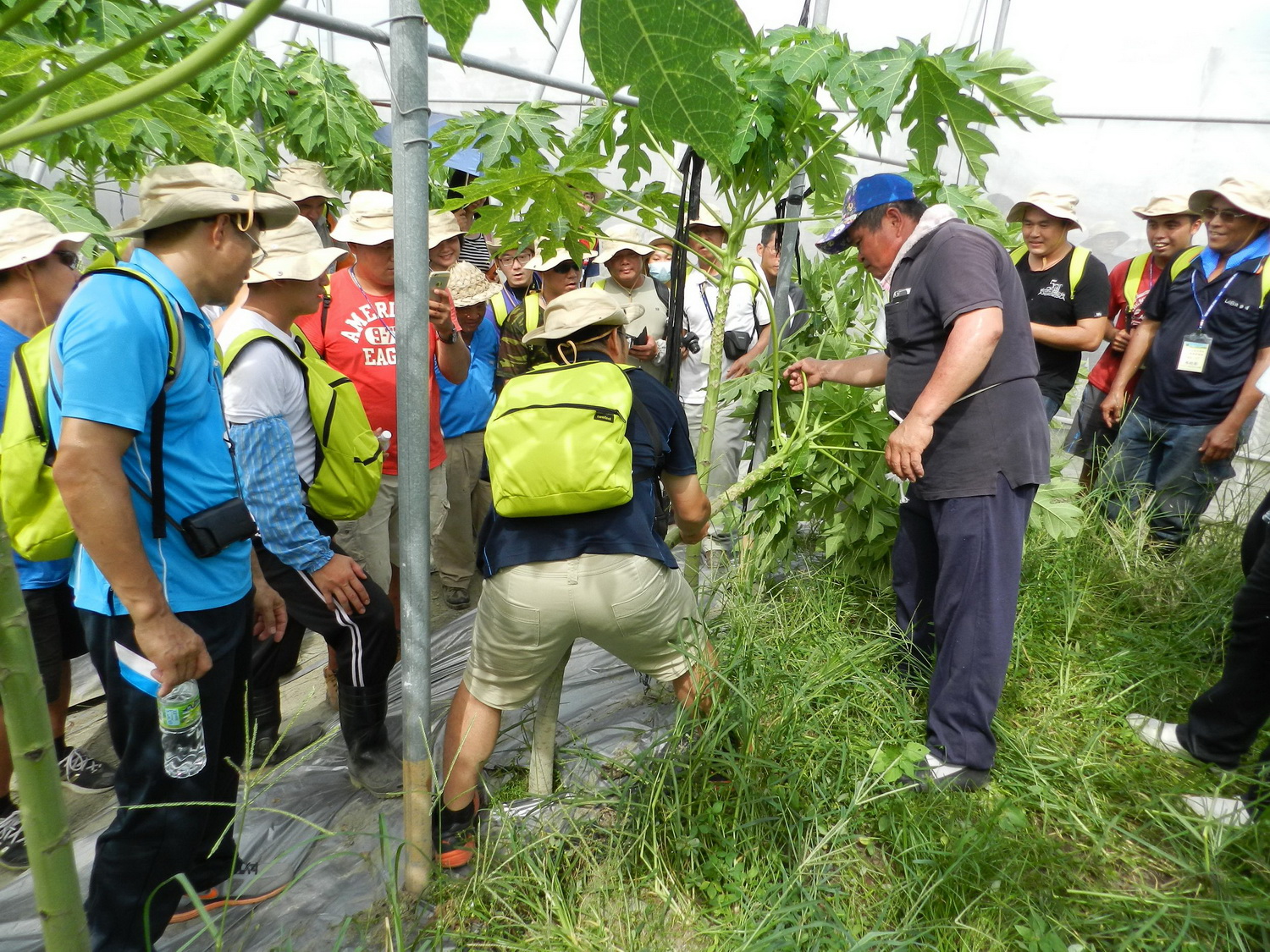 楊乾德班長於果園現場指導學員倒株技術