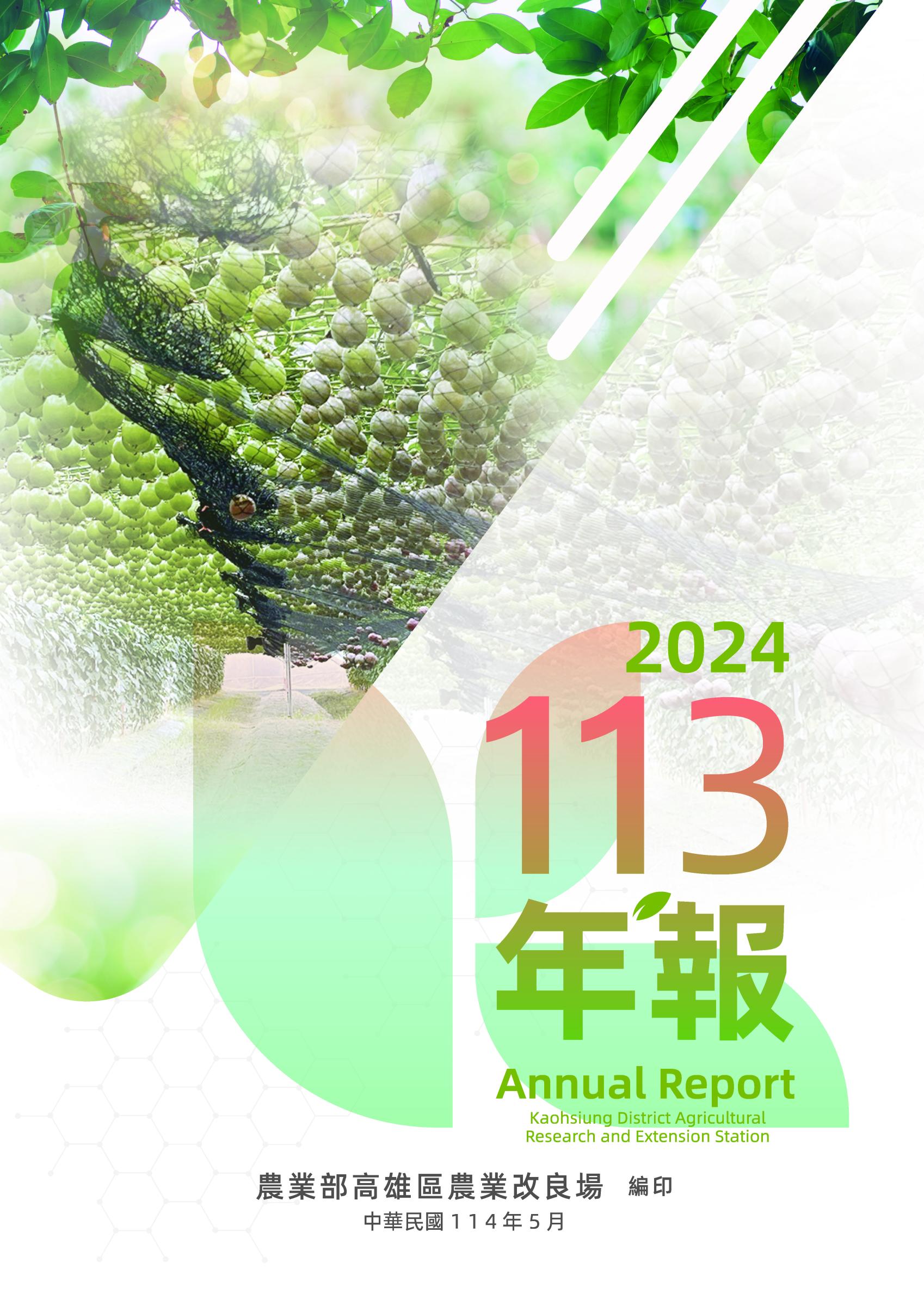 113年度年報封面圖片