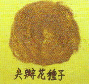 尖瓣花種子